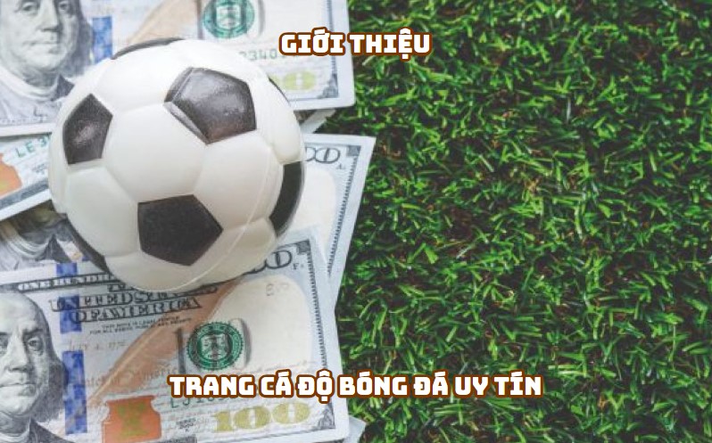 Giới thiệu về Trang Cá Độ Uy Tín