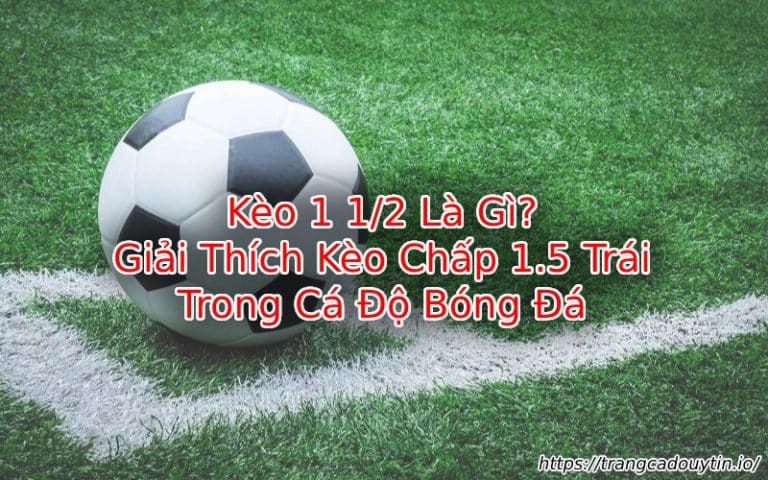 Kèo 1 1/2 Là Gì? Giải Mã Kèo Chấp Bóng Đá 1.5 Cực Chi Tiết