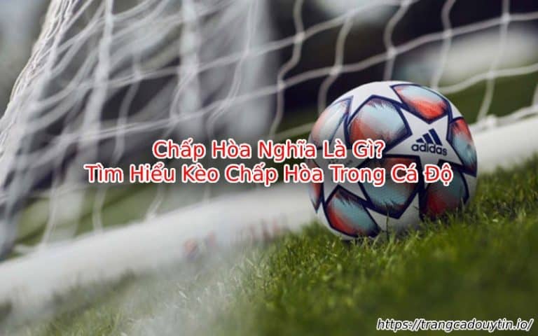 Chấp Hòa Nghĩa Là Gì? Giải Mã Kèo Chấp Hòa Trong Cá Độ Bóng Đá