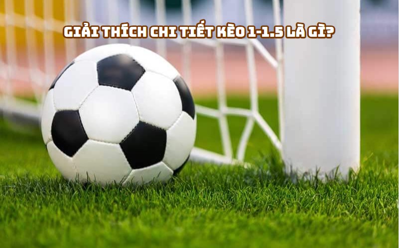 Giải Thích Chi Tiết Kèo 1-1.5 Là Gì?