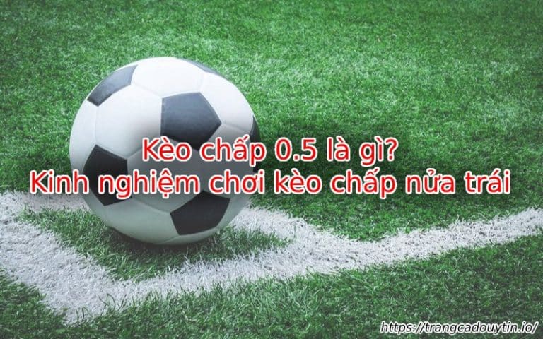 Kèo Chấp 0.5 Là Gì? Bí Quyết Soi Kèo Chấp Nửa Trái Hiệu Quả Nhất 2024
