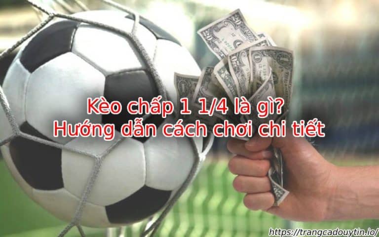 Kèo chấp 1 1/4 là gì? Tìm hiểu chi tiết về loại kèo này