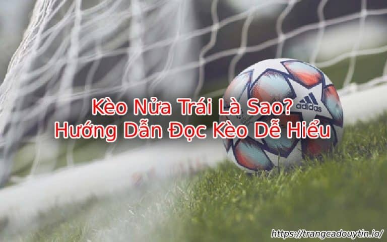 Kèo Nửa Trái Là Sao? – Hướng Dẫn Đọc Kèo Chấp 1/2 Chuẩn Xác Nhất