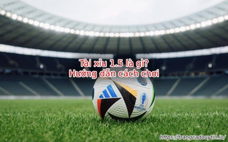Kèo Tài Xỉu 1.5 Là Gì? Hướng Dẫn Chơi Kèo 1 Trái Rưỡi Chi Tiết Nhất