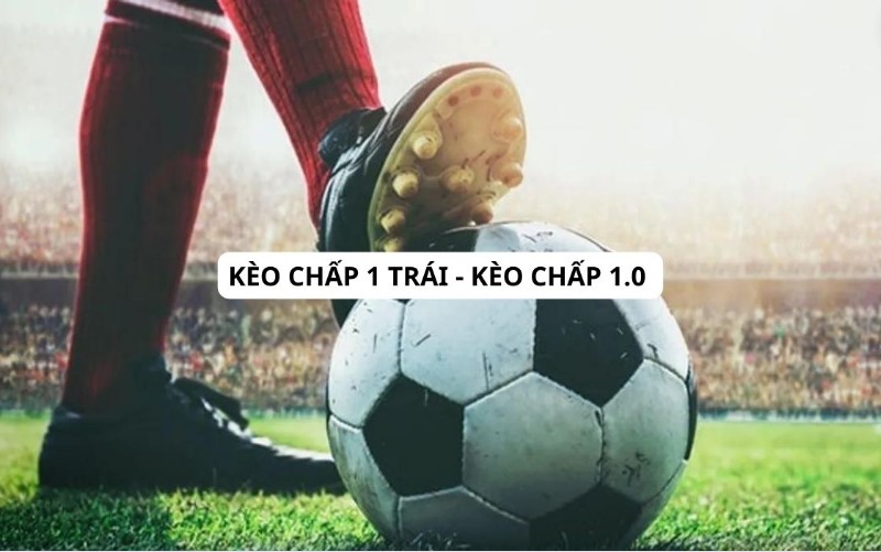 Kèo Chấp 1 Trái Là Gì?